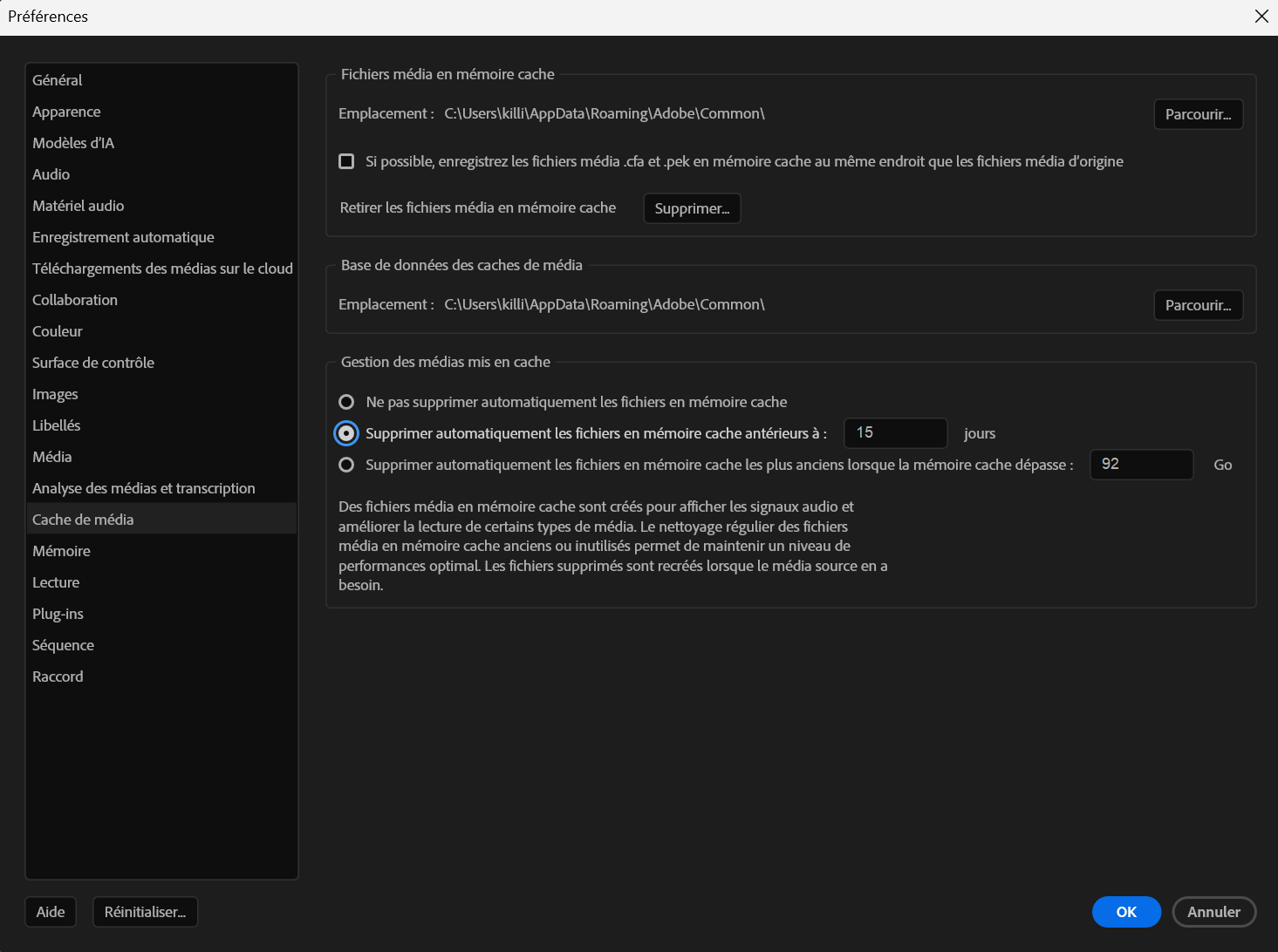 Capture du panneau Média Cache avec l’option “Supprimer automatiquement…” cochée.