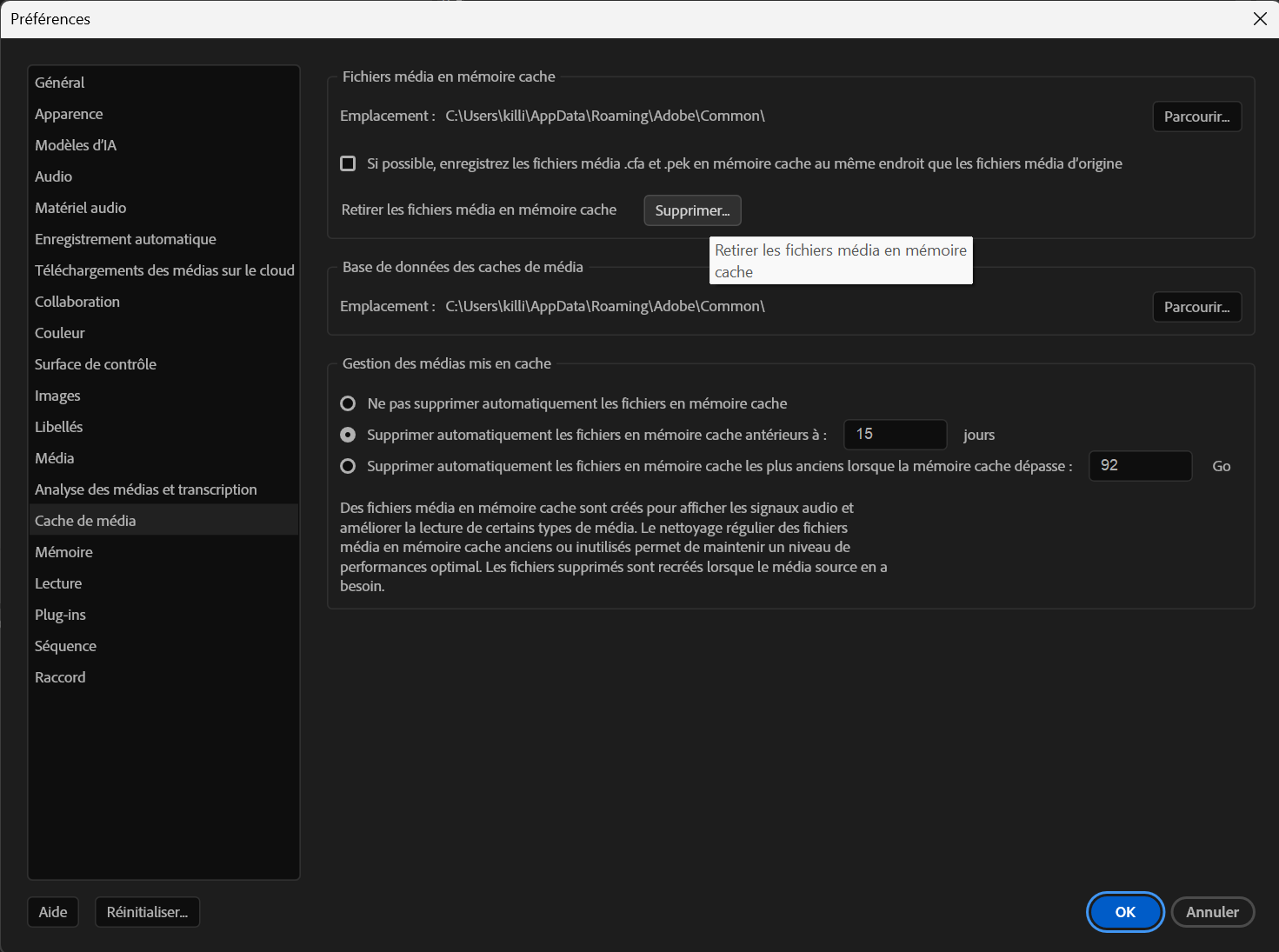 Bouton “Supprimer” dans la fenêtre Média Cache.