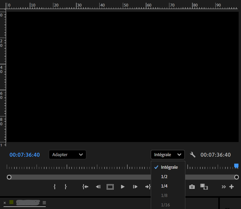 Capture du menu de prévisualisation (intégrale, 1/2, 1/4)