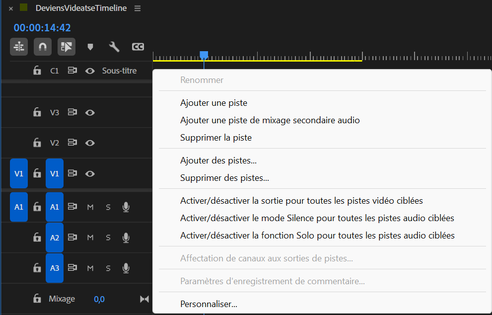 Capture des différentes pistes, ainsi que du menu permettant d'en ajouter