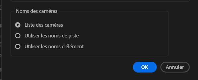 Capture du choix pour la nomenclature des caméras