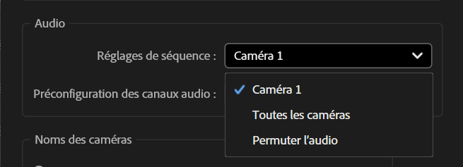 Capture du choix pour l'audio utilisé