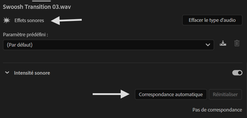 Le type d'audio ainsi que le bouton pour homogénéiser